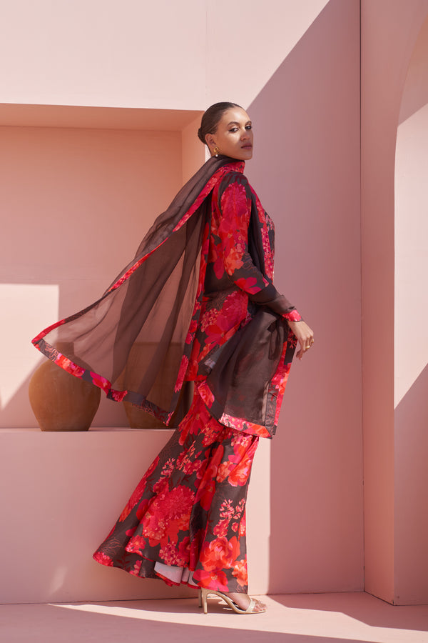 Brown Moroccan Highlight Sharara