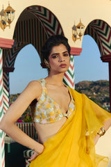 Glare Saree